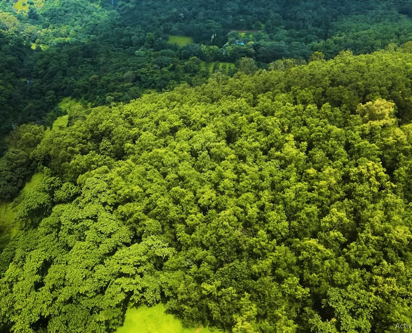 Green hills of the Sahyadris
